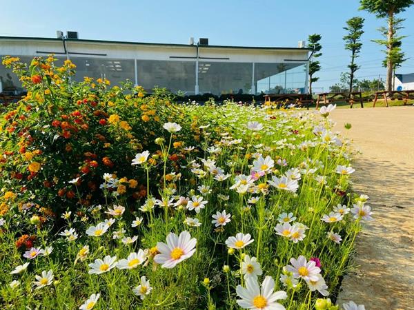 Làng Pháp Bảo Lộc Resort & Spa